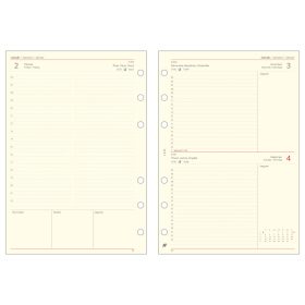   L312 Saturnus napi betétlap csomag, chamois - 2026 / II. Osztályú, esztétikai hibás termék! 