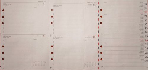 L312 Saturnus napi betétlap csomag, chamois - 2026 / II. Osztályú, esztétikai hibás termék! 