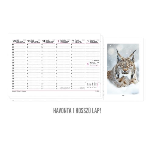 Vadászat asztali naptár bordó álló táblával - 2026