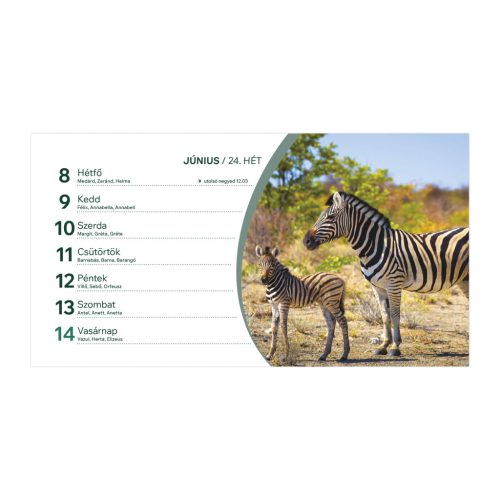 Állatvilág asztali naptár fehér álló kartontáblával - 2026