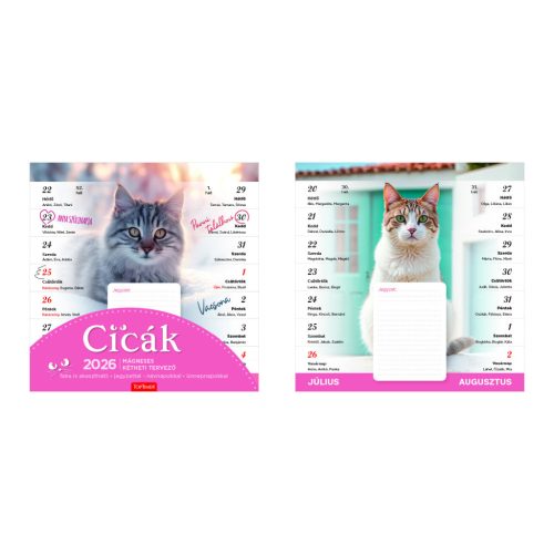 Cicák mágneses falinaptár - 2026