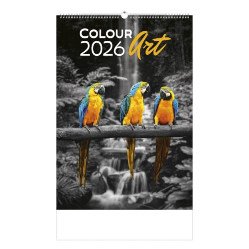 Colour Art falinaptár - 2026