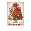 Herbarium falinaptár - 2026