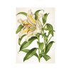 Herbarium falinaptár - 2026