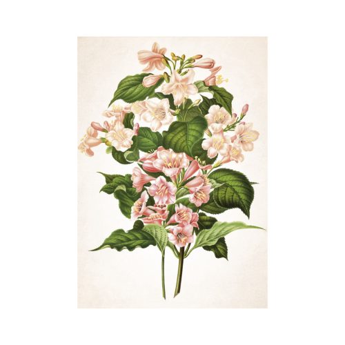 Herbarium falinaptár - 2026