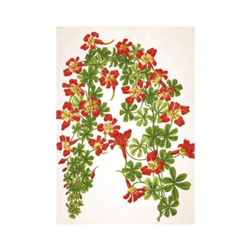 Herbarium falinaptár - 2026