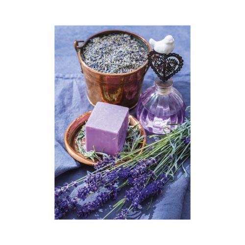 Provence falinaptár - 2026
