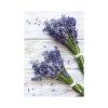 Provence falinaptár - 2026