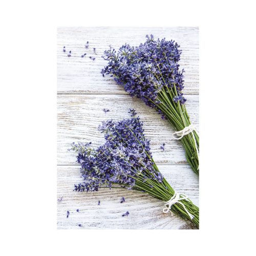 Provence falinaptár - 2026