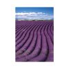 Provence falinaptár - 2026