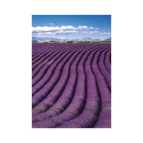 Provence falinaptár - 2026