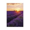 Provence falinaptár - 2026