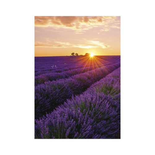 Provence falinaptár - 2026