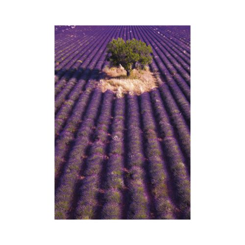 Provence falinaptár - 2026