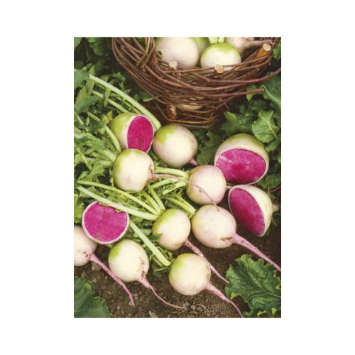 Kertésznaptár falinaptár - 2026