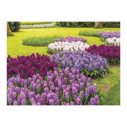 Csodálatos kertek falinaptár - 2026