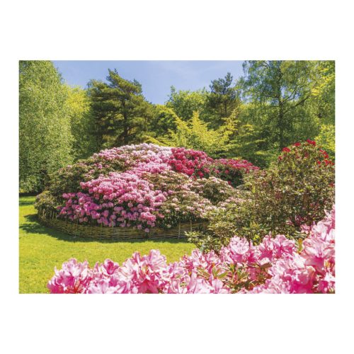 Csodálatos kertek falinaptár - 2026