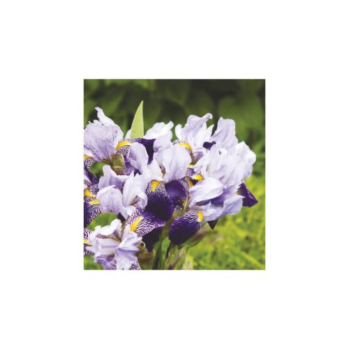 Virágcsokrok falinaptár - 2026