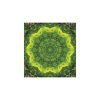 Mandala falinaptár - 2026