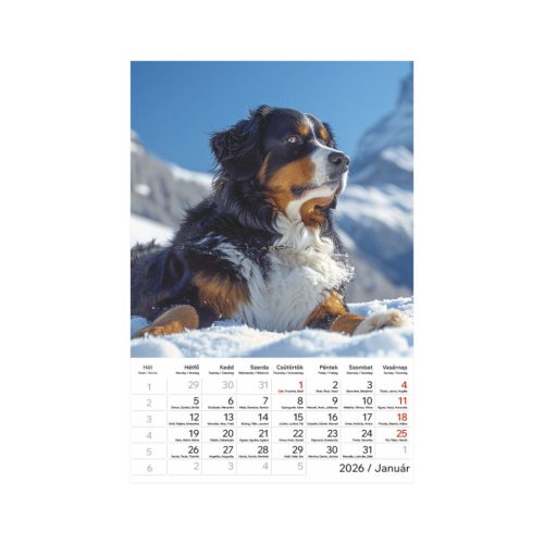 Kutyák falinaptár - 2026
