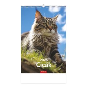 Cicák falinaptár - 2026