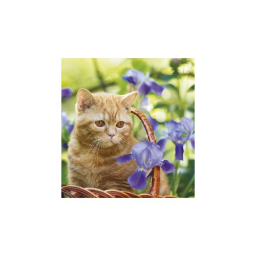 Cicák falinaptár - 2026