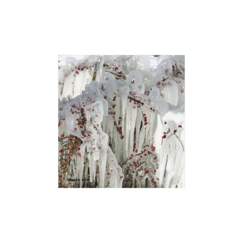 Hangulatok falinaptár - 2026