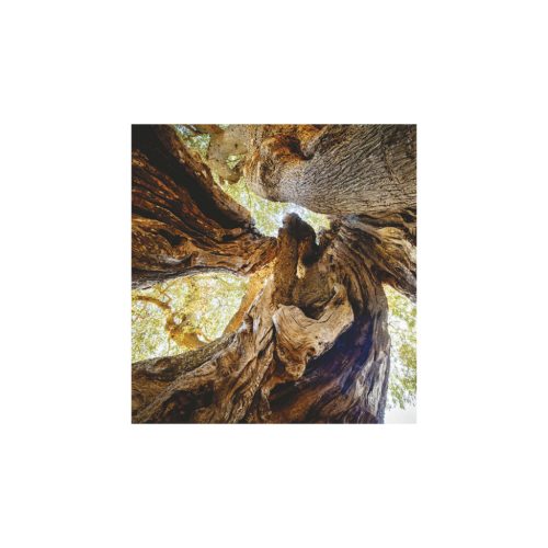 Hangulatok falinaptár - 2026