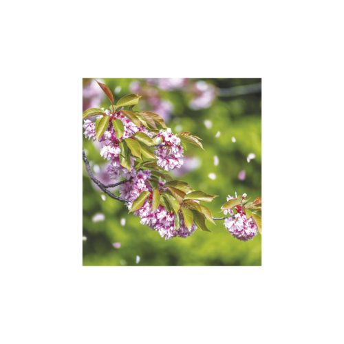 Hangulatok falinaptár - 2026