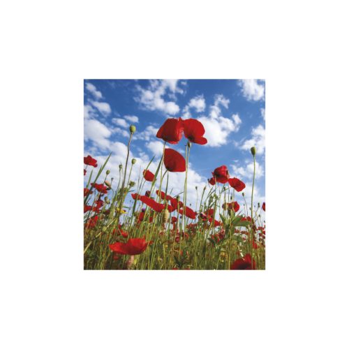 Hangulatok falinaptár - 2026