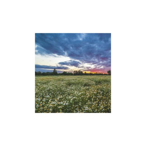 Hangulatok falinaptár - 2026