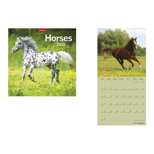 Horses falinaptár - 2026
