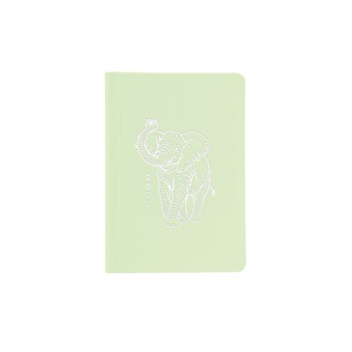 Pastel B6 heti határidőnapló zöld - 2027