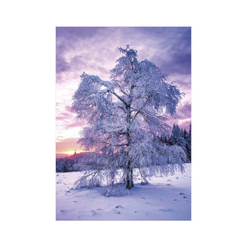 Trees falinaptár - 2027
