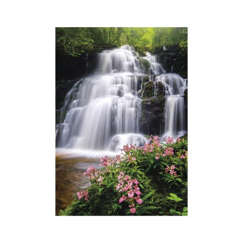 Nature Emotions falinaptár - 2027