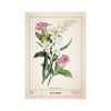 Herbarium falinaptár - 2027
