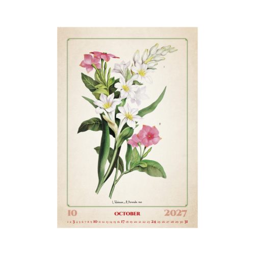 Herbarium falinaptár - 2027