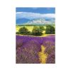Provence falinaptár - 2027