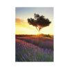 Provence falinaptár - 2027