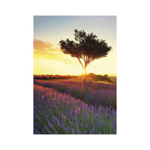 Provence falinaptár - 2027
