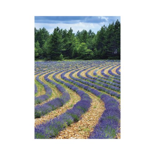 Provence falinaptár - 2027
