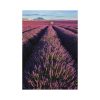 Provence falinaptár - 2027