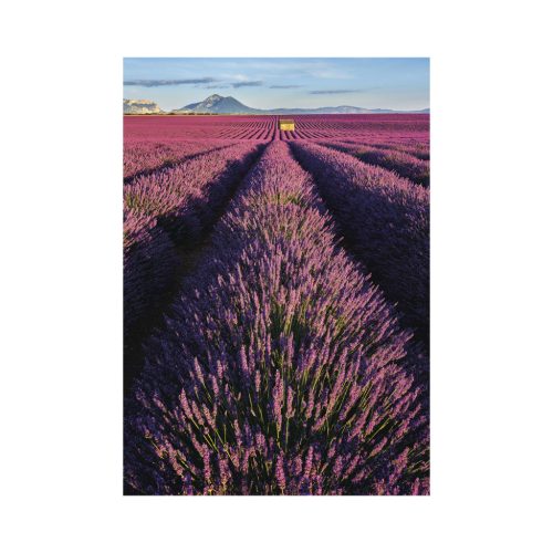 Provence falinaptár - 2027