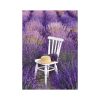 Provence falinaptár - 2027