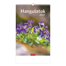Hangulatok falinaptár - 2027