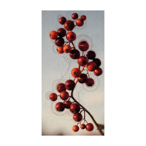 Generative art falinaptár - 2027