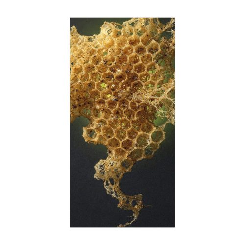 Generative art falinaptár - 2027